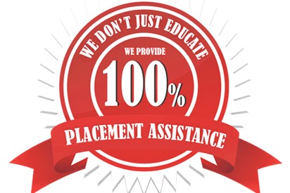 100% Job Assistance